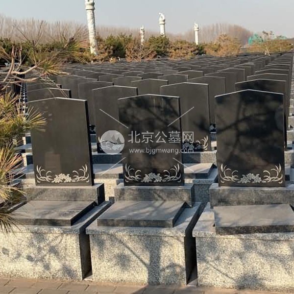 双穴立碑_极乐园