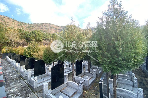 九龙山生态陵园