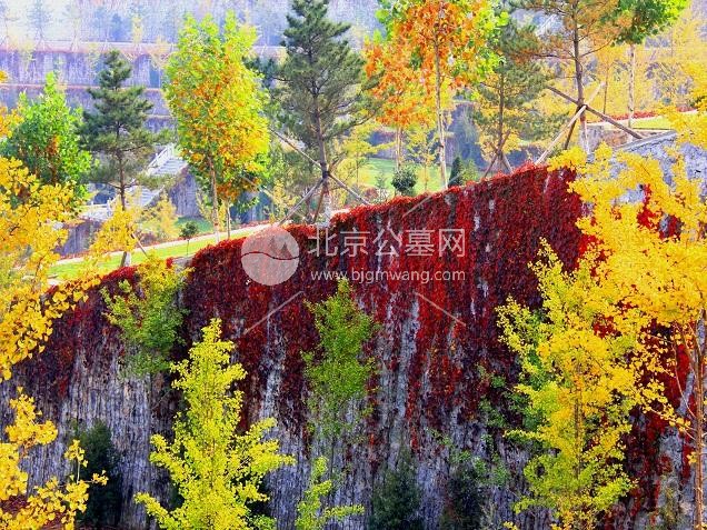 北京周边墓地盘点：河北灵山宝塔陵园什么时候成立的？陵园有几个墓区？官方购墓热线是多少？