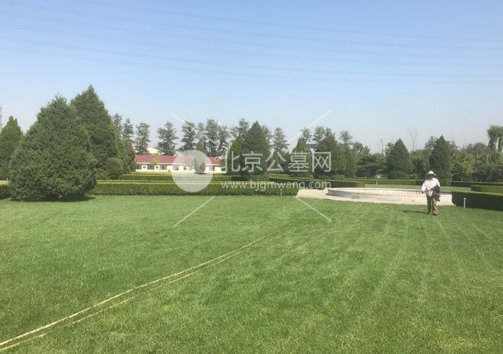 北京朝阳经济型公墓盘点：长青园骨灰林园内环境怎么样？2024年碑型价格是多少？官方购墓热线是多少？