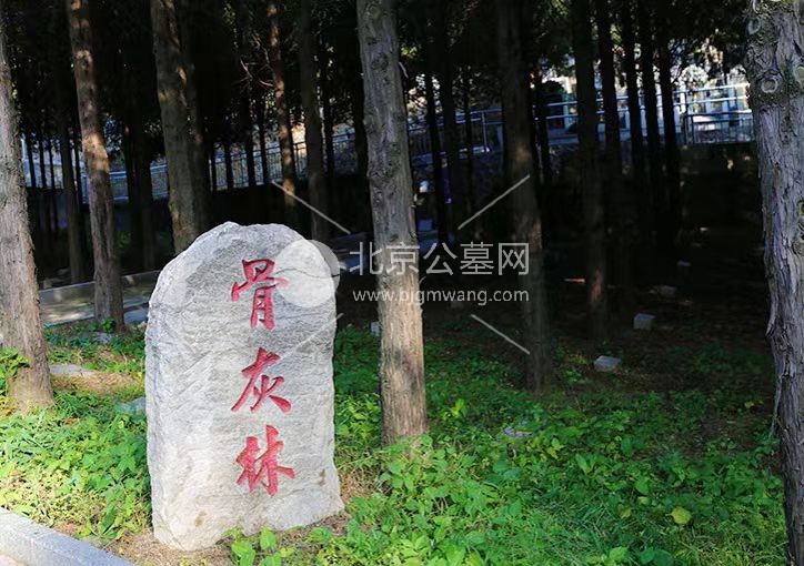 北京密云墓地盘点：宝云岭公墓目前在售碑型有哪些？具体价格是多少？官网购墓电话是什么？