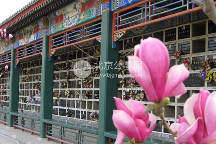 北京石景山墓地盘点：福田公墓内部环境怎么样？官网购墓电话是多少？