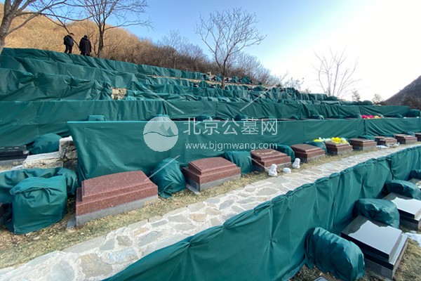 生态葬革命下的行业范式——九公山长城纪念林的破局之道