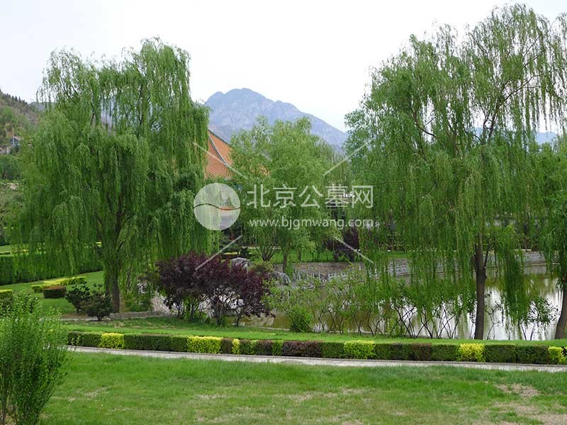 沉浸式探访天寿陵园——揭秘“人生后花园”的园林美学 陵园咨询电话400-005-9967