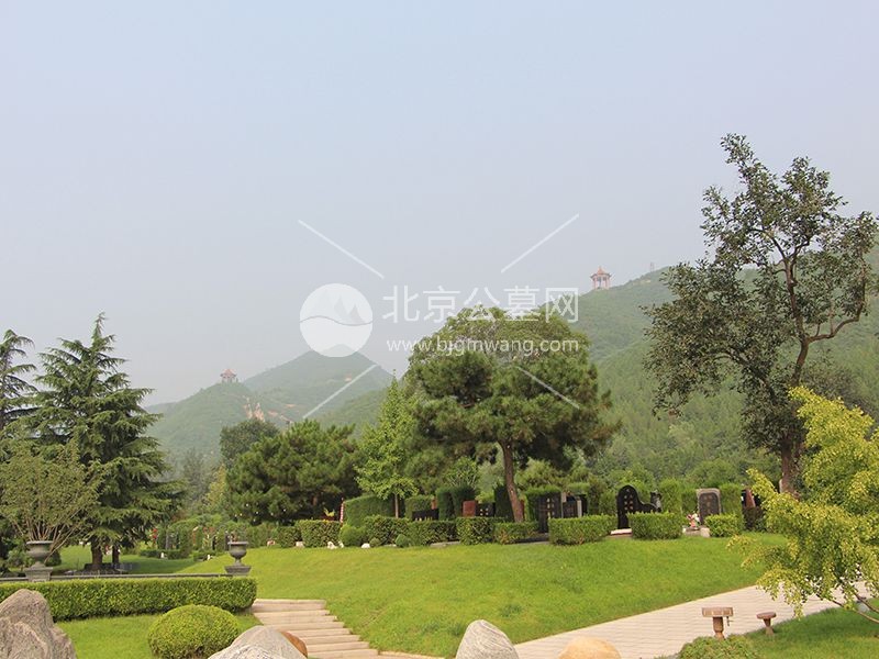 天寿陵园碑型价格终极指南——不同预算如何选到心仪墓地？
