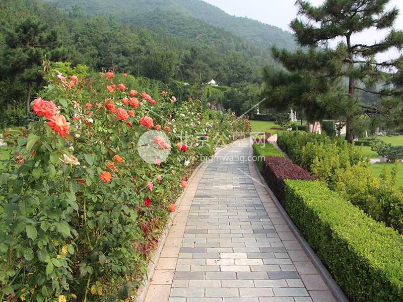 天寿陵园文化景观解码｜在艺术碑林中读懂生命故事 陵园销售部400-005-9967