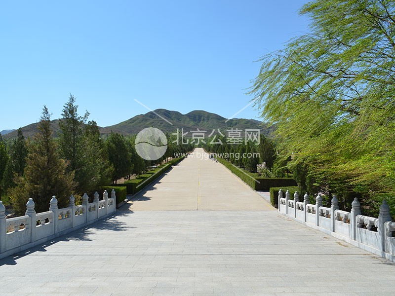 中华永久陵园生态葬全攻略｜3万实现绿色安葬的实操方案