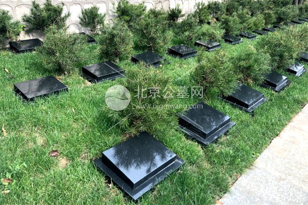 北京怀柔九公山长城纪念林——山水之间的生命纪念公园