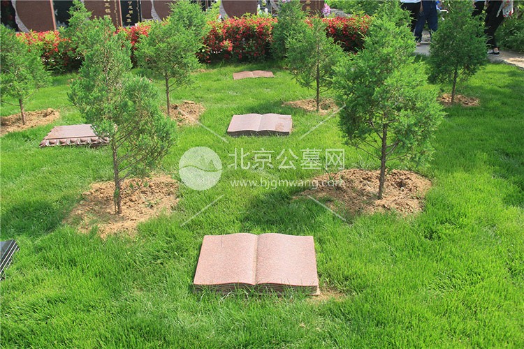 传承与自然的交融——九公山长城纪念林的文化价值探析