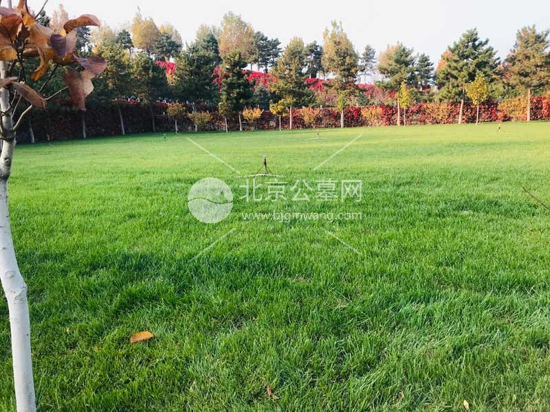 北京周边灵山宝塔陵园生态葬实践——绿色殡葬如何兼顾纪念与环保？陵园销售部：400-005-9967