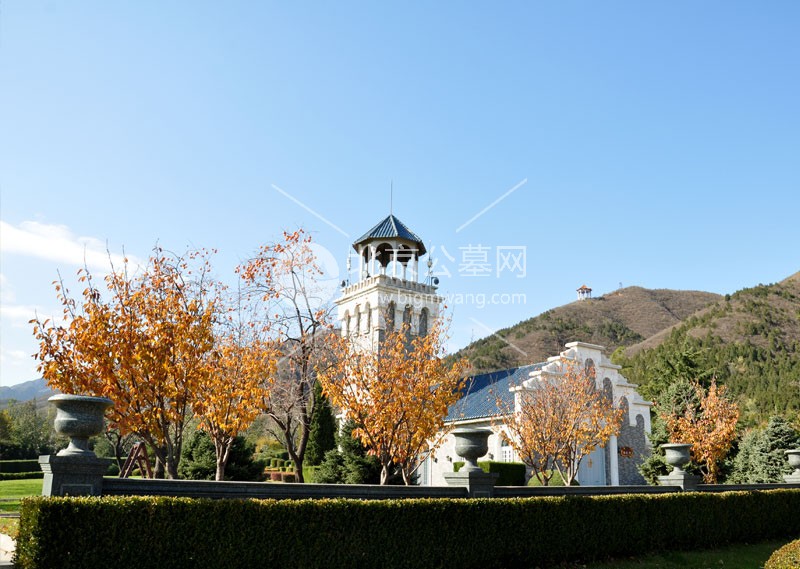 2025年天寿陵园在售的生态葬有哪些？