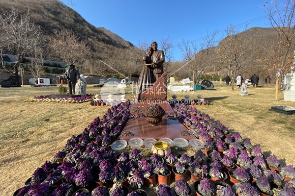 九公山长城纪念林内部环境的景观有何特色？