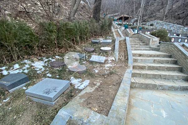 九公山长城纪念林的具体地址在哪儿？