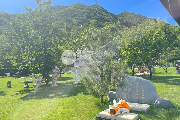 九公山长城纪念林的小立碑墓区环境怎么样？