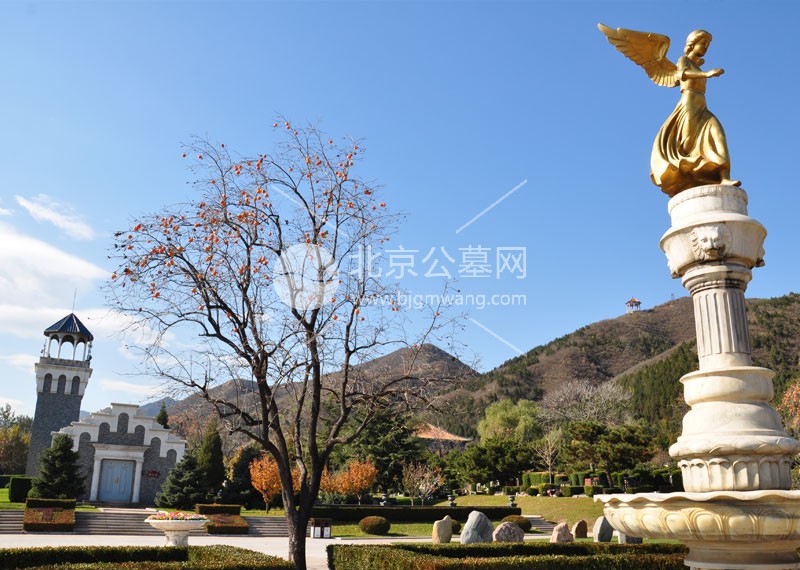 天寿陵园的在售墓区是如何体现人文关怀的？