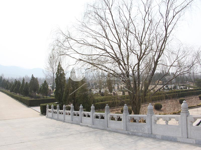 中华永久陵园的具体位置在哪里？