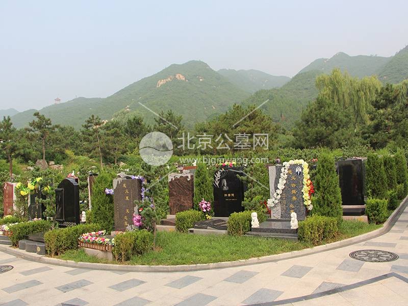 天寿陵园目前在售生态葬方式有哪些？