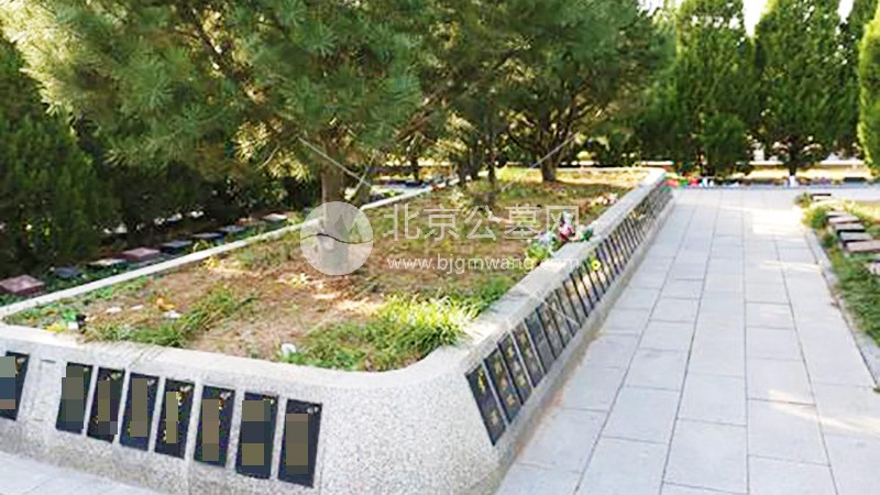 如何前往太子峪陵园？