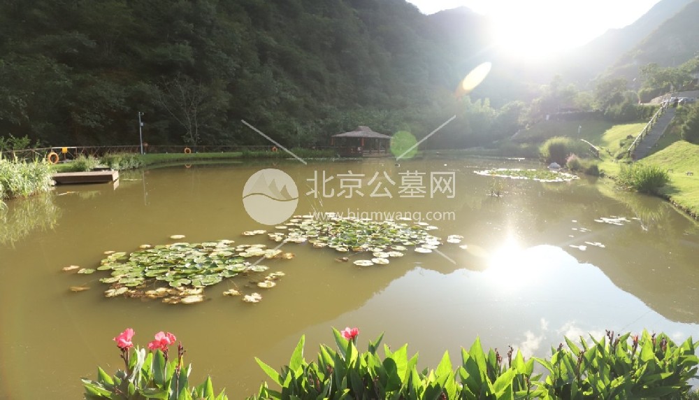 九公山长城纪念林的具体地址在哪儿？